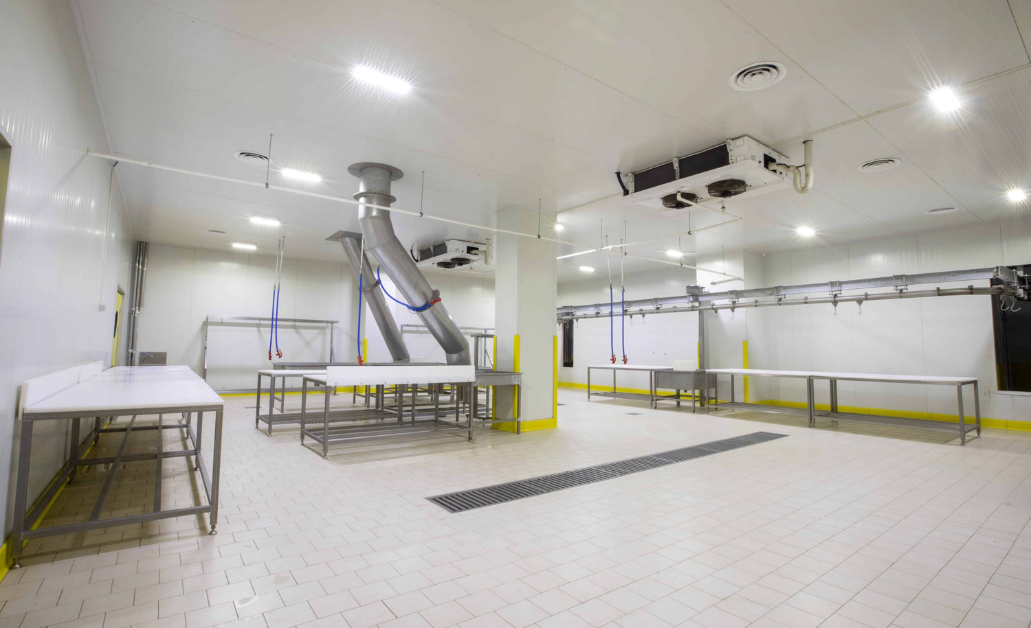 Antiasit Karo 200×200 Hardal Sarı