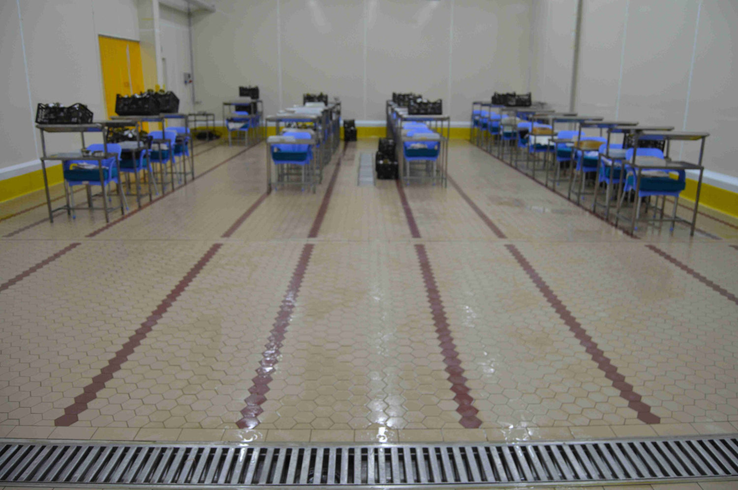 Altıgen Antiasit Karo 100×116 Yeşil