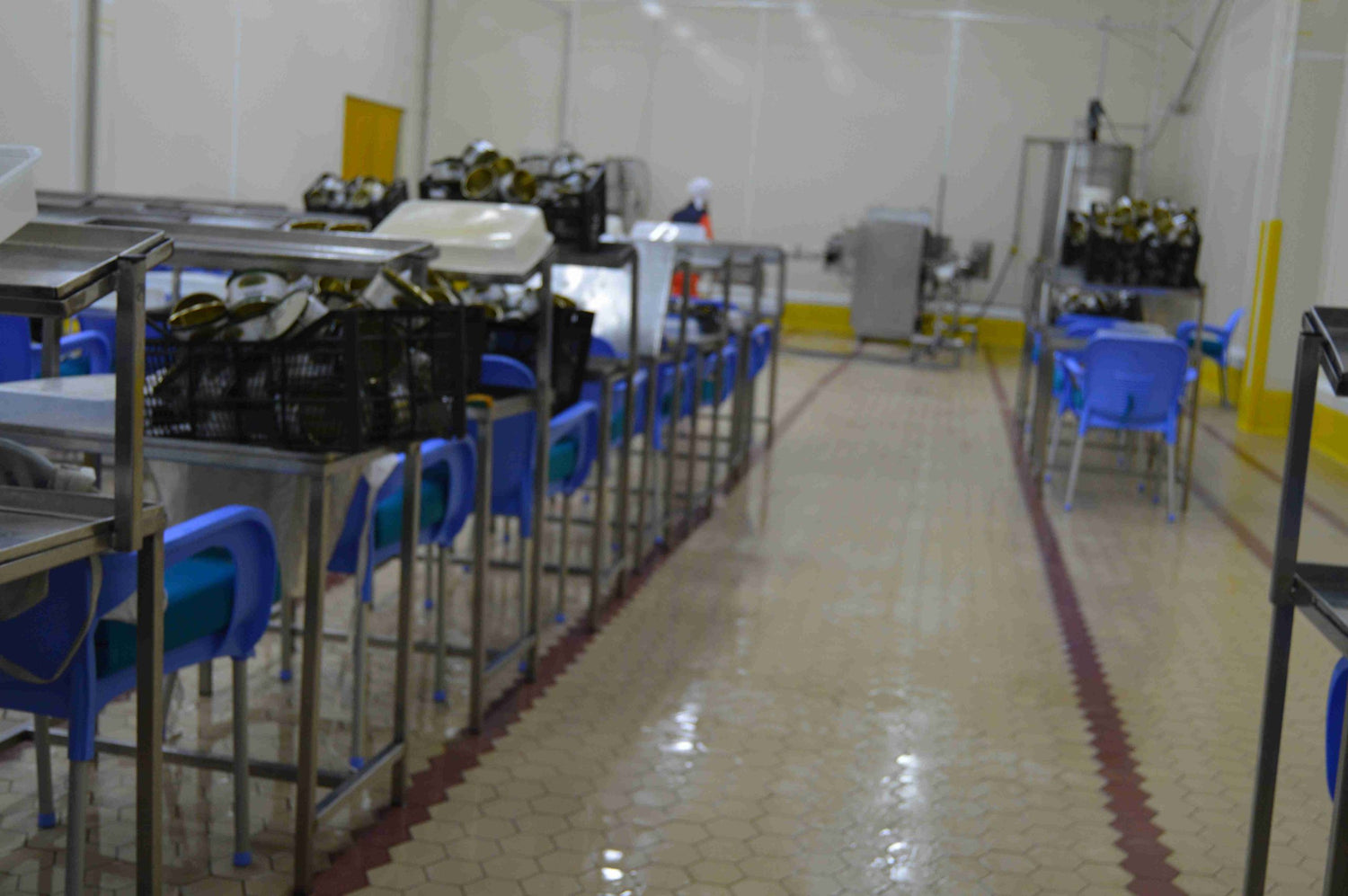 Altıgen Antiasit Karo 100×116 Hardal Sarı