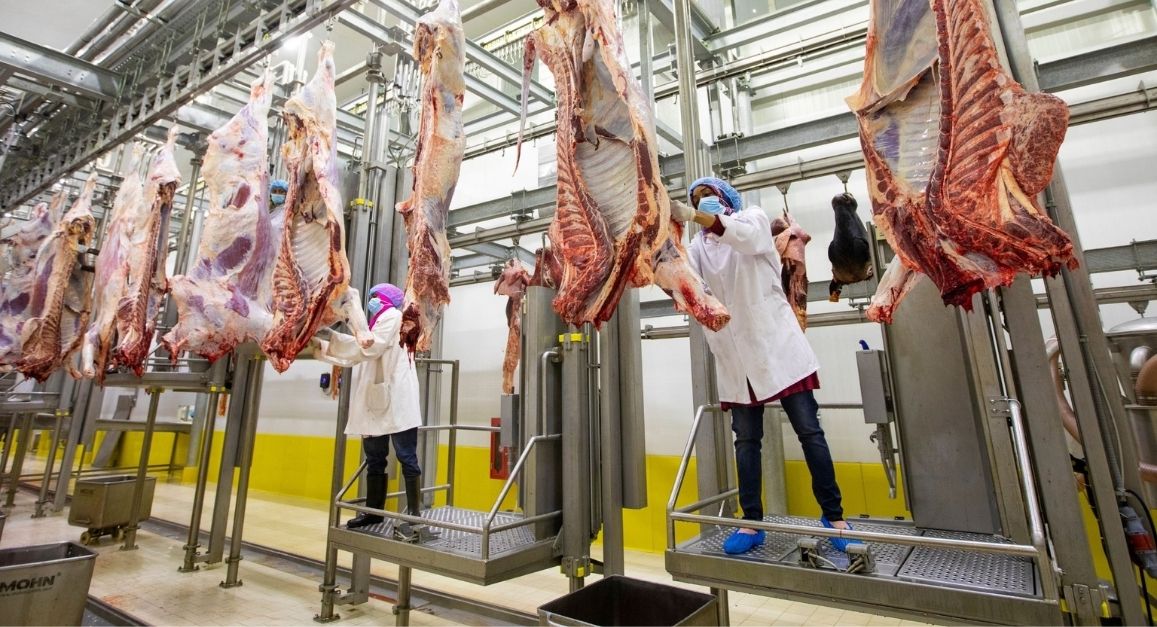 Abattoir Flooring: Balancing Functionality with Safety and Hygiene