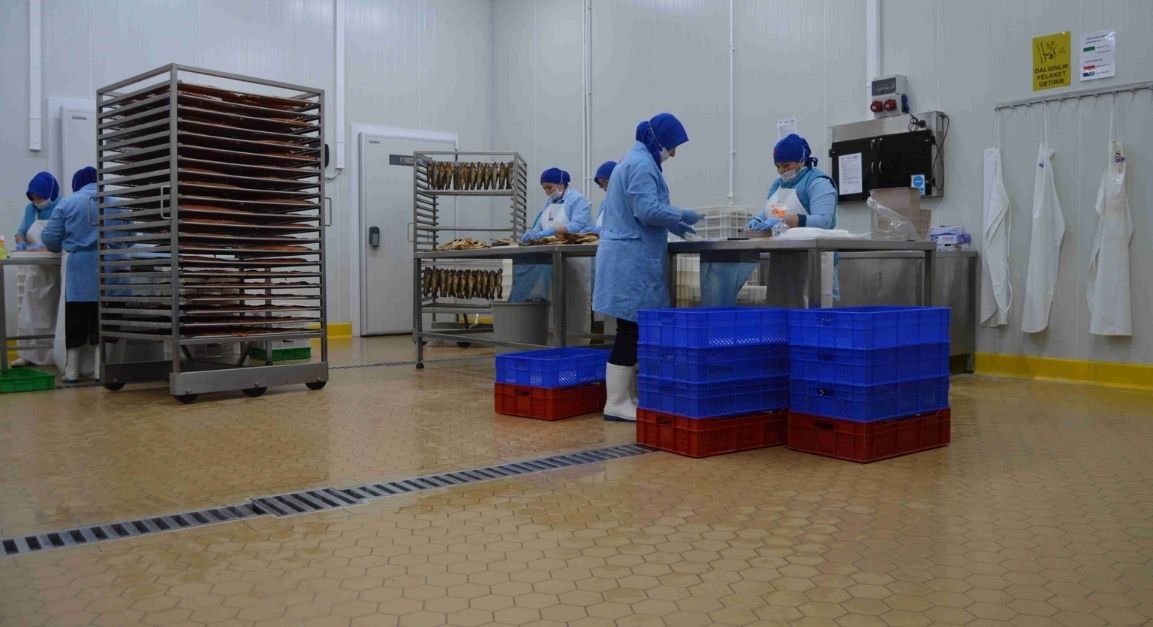 The Best Flooring Solutions for Seafood Processing Plants