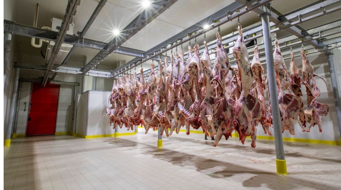 Meat Processing Flooring Contractors