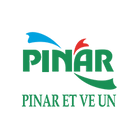 fallback text for an image