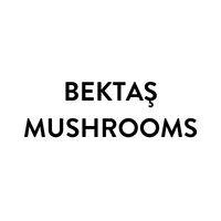 gallery-1732357426307 image