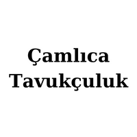 gallery-1732351870929 image