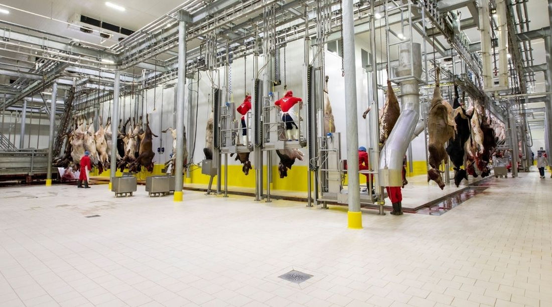 Kilitli Antiasit Karo 150×200 Trafik Sarı