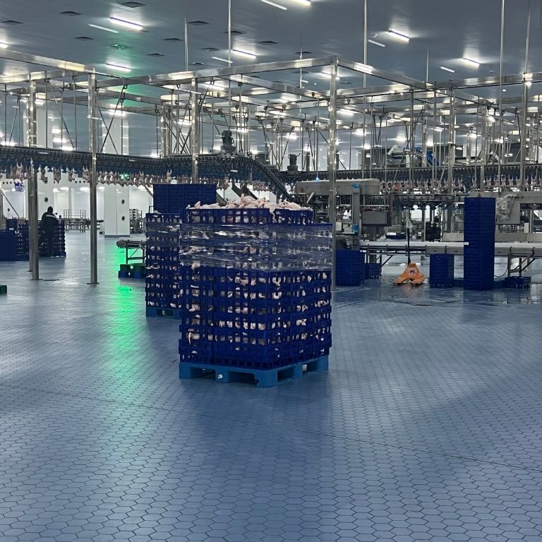 Antiasit Karo 200×200 Mavi