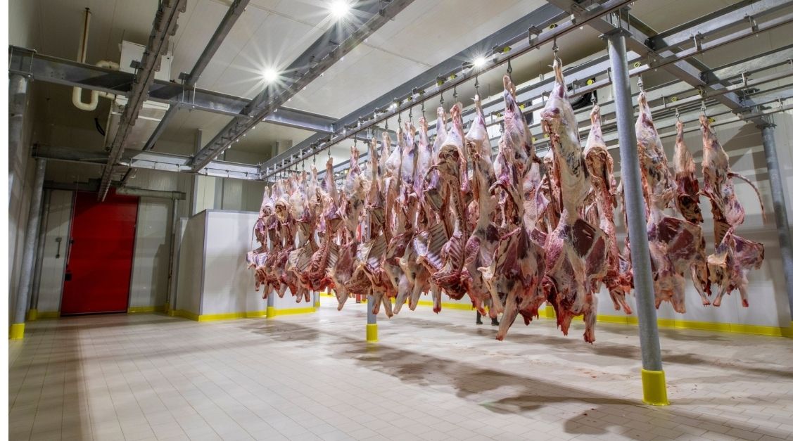 meat processing flooring contractors